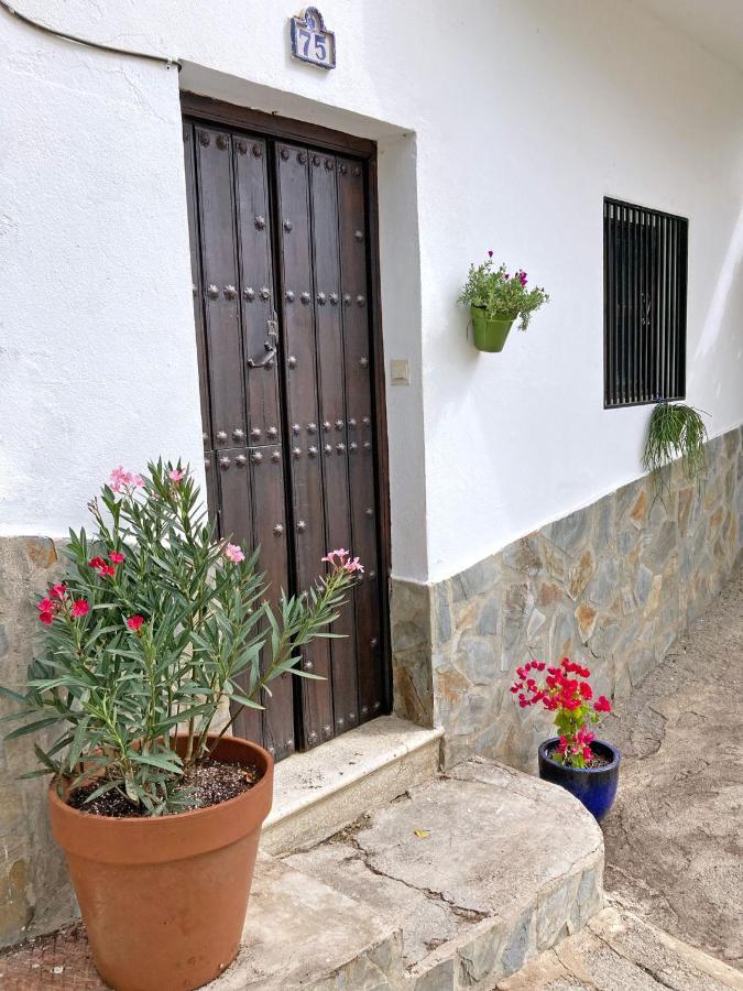 Casa Amigos Sorvilan- La Palmera Ngoại thất bức ảnh