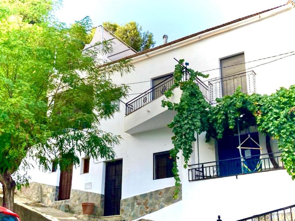 Casa Amigos Sorvilan- La Palmera Ngoại thất bức ảnh